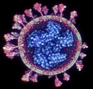 sars-cov-2-imagen-real-nanographics-x300-300x287