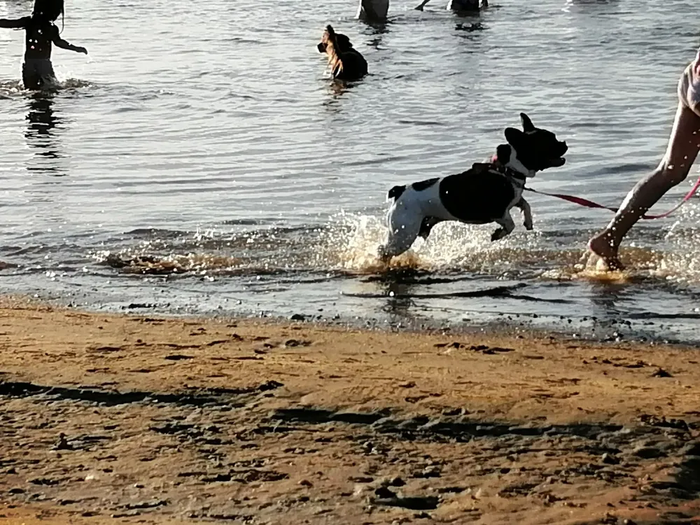 WhatsApp Image 2025-01-17 at 17.16.45