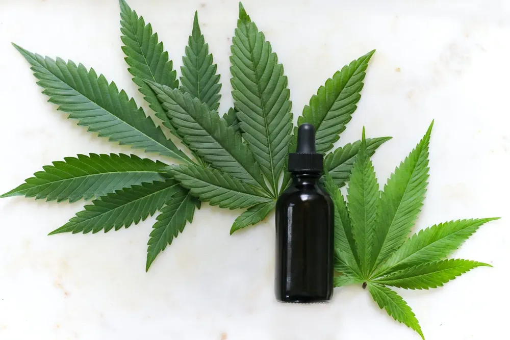 cannabis medicinal