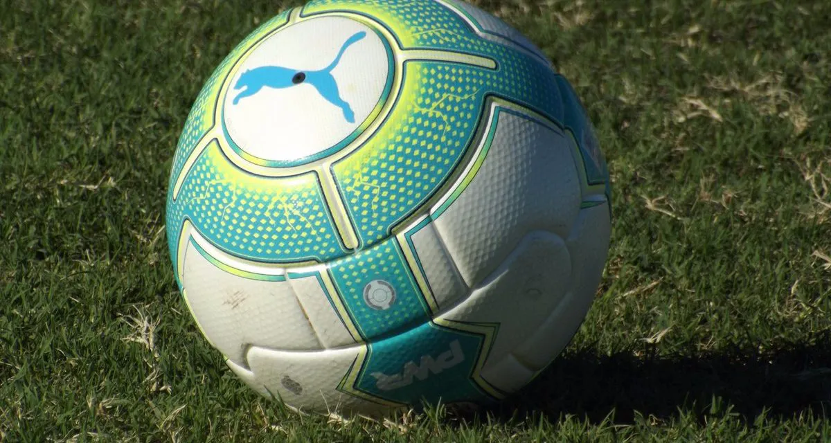 pelota