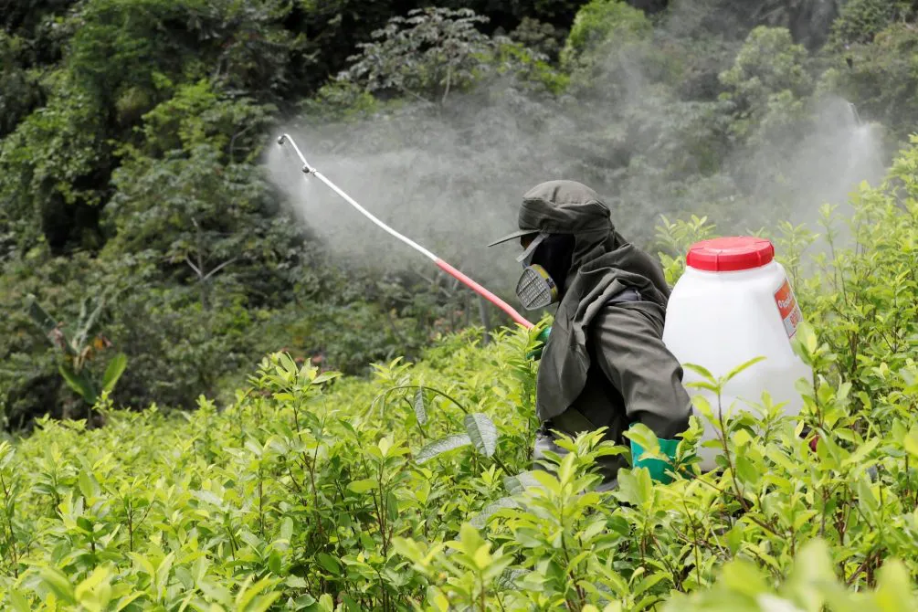 fumigando