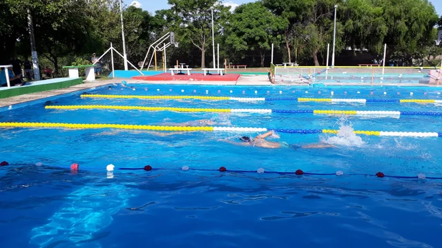 camandulli
