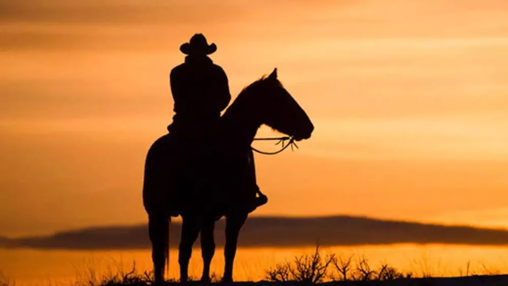 gaucho 2