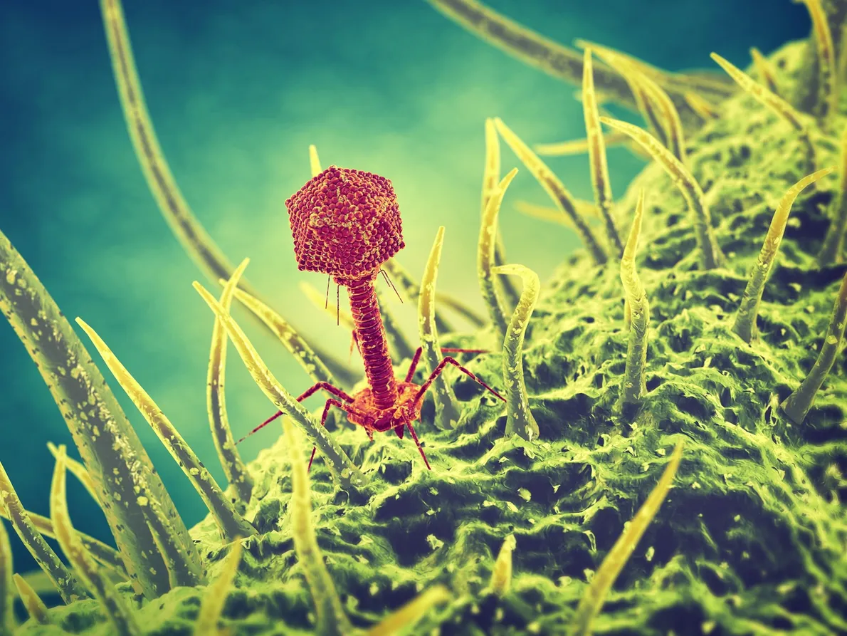 01-virus-h3t4de