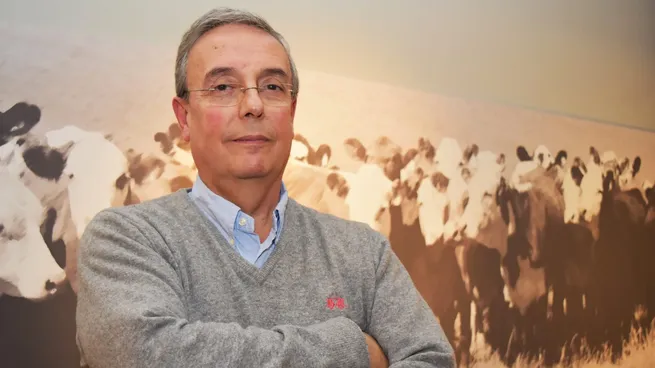 gustavo-basso-8-18webp