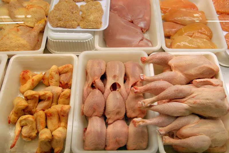 pollos muertos